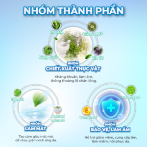 2-thanh-phan-510x510-1-1