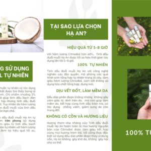 Ha-an-brochure-1-510x359-2