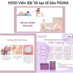 Hdsd-pigina-510x449-2