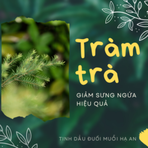 Tram-tra-trong-ha-an-510x428-2